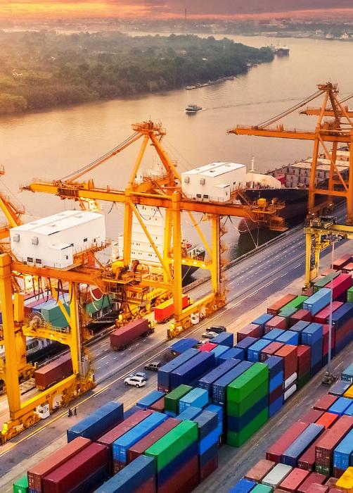 Customs Clearance